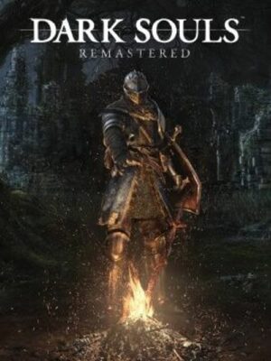 Dark Souls Remastered PC